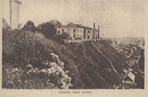 Grodno Stary Zamek - Reprodukcja 9811