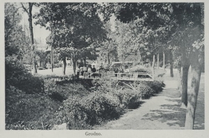 Grodno park - Reprodukcja 9839
