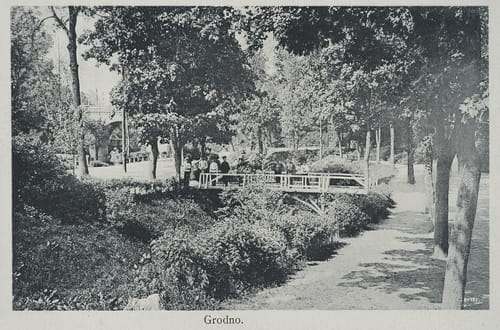 nowe-9839.jpg