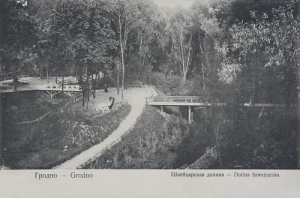 Grodno Szwajcarska Dolina - Reprodukcja 9843