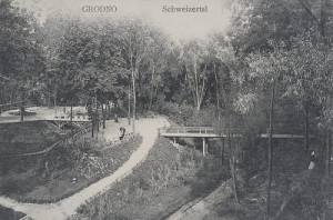 Grodno Szwajcarska Dolina - Reprodukcja 9844