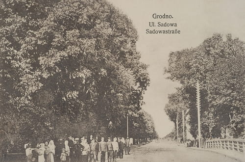 nowe-9853.jpg