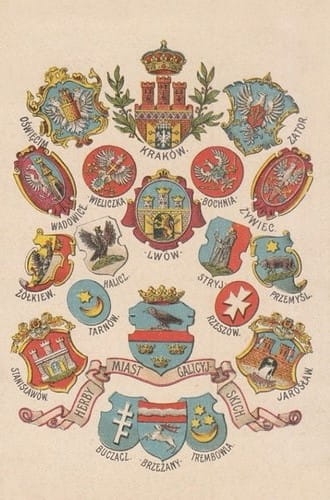 nowe-9959.jpg
