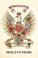 nowe-9967.jpg
