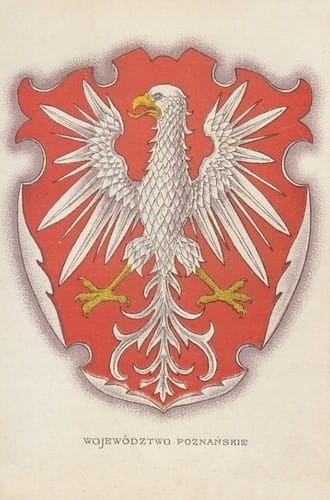 nowe-9977.jpg