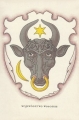 nowe-9980.jpg