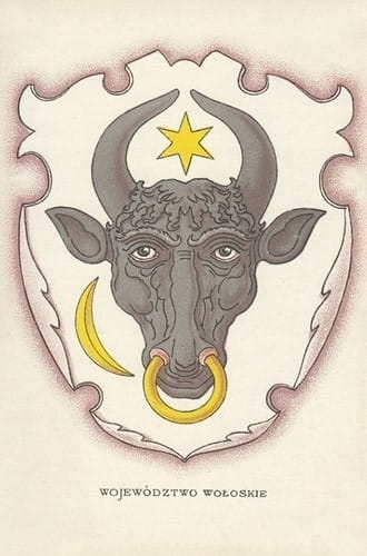 nowe-9980.jpg