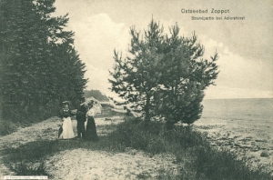 Gdynia Orłowo - Reprodukcja 10072
