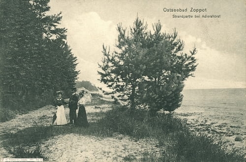 nowe-10072.jpg