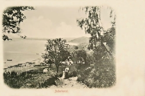 Gdynia Orłowo - Reprodukcja 10073