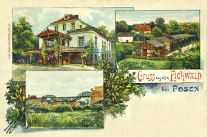 Poznań Dębina - Reprodukcja 5248
