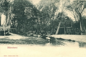 Gdynia Orłowo - Reprodukcja 10114