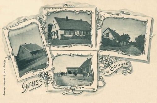 nowe-10131.jpg