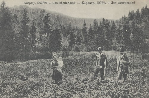 nowe-10217.jpg