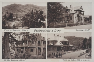 Dora widokowa - Reprodukcja 10224