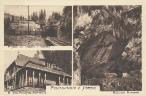 Jamna widokowa - Reprodukcja 10243