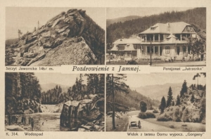 Jamna widokowa - Reprodukcja 10244