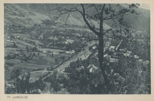 Jaremcze panorama - Reprodukcja 10249