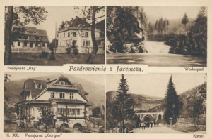 Jaremcze widokowa - Reprodukcja 10263