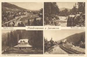 Jaremcze widokowa - Reprodukcja 10264