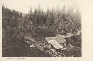 Jaremcze Stary Młyn - Reprodukcja 10268