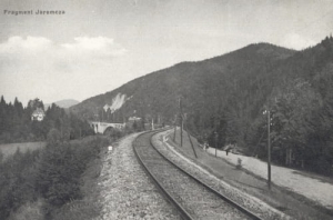 Jaremcze panorama - Reprodukcja 10279