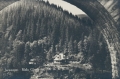 nowe-10281.jpg