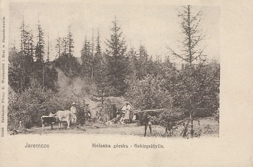nowe-10302.jpg