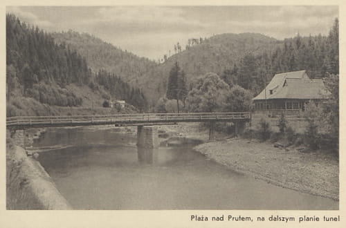 nowe-10312.jpg