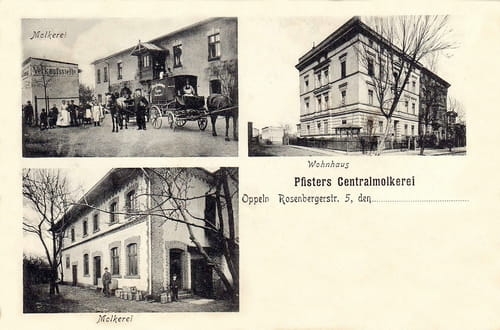 nowe-10421.jpg