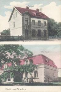 Tarnowo Podgórne Poznań -Reprodukcja 10451