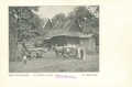 nowe-10477.jpg