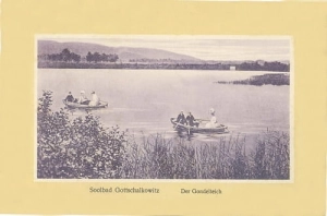 Goczałkowice Staw -Reprodukcja 10497