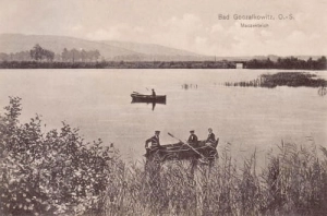 Goczałkowice Staw -Reprodukcja 10498