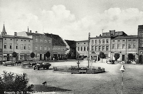 nowe-10589.jpg