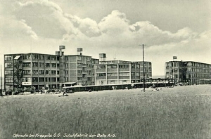Krapkowice Otmęt - Reprodukcja 10595