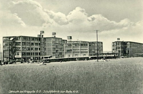 nowe-10595.jpg