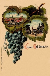 Zielona Góra Litografia - Reprodukcja 1193