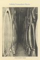 nowe-10633.jpg