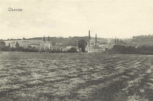 Okocim Browar - Reprodukcja 10643