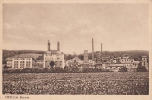 Okocim Browar - Reprodukcja 10644