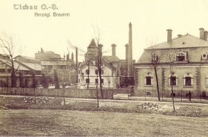 Tychy Browar - Reprodukcja 10669