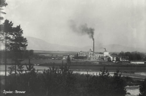 Żywiec Browar - Reprodukcja 10697