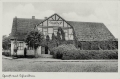 nowe-10724.jpg