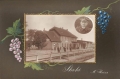 nowe-10417.jpg