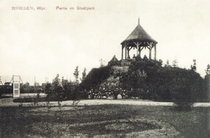 Wąbrzeźno park -Reprodukcja 10753