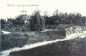 Wąbrzeźno park -Reprodukcja 10754