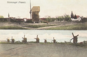 Śmigiel wiatraki - Reprodukcja 10814