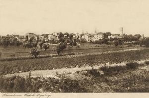 Kowalewo Pom. panorama -Reprodukcja 10797
