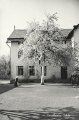 nowe-10520.jpg
